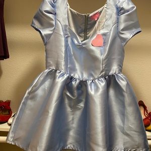 Powder blue Cinderella dress